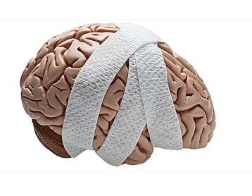 ನಕಲಿ ಮೆದುಳು